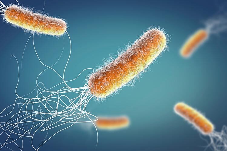La resistencia bacteriana: una amenaza creciente para la salud global
