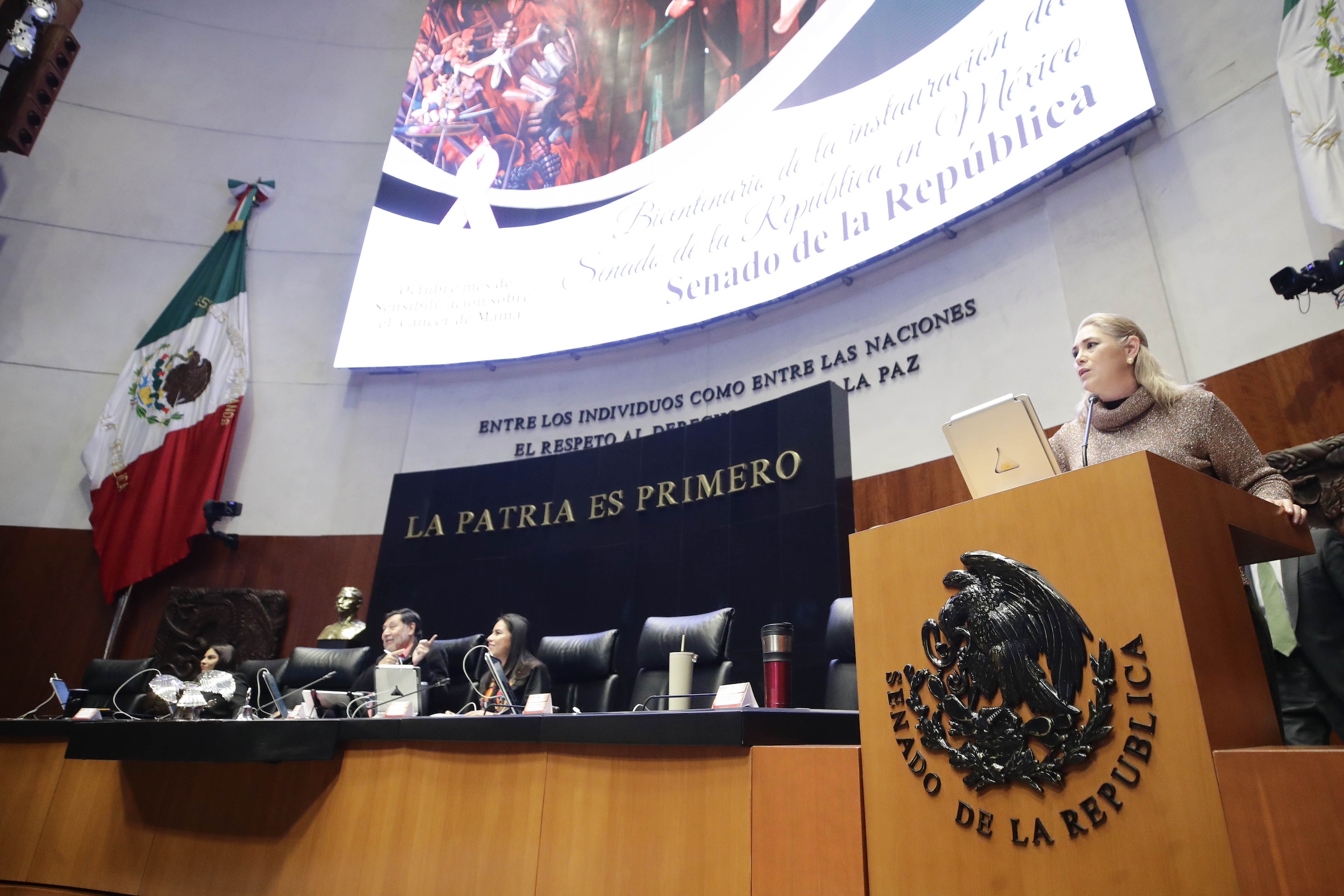 “¡Nadie por encima de la Constitución!”: Senado Avanza con Reforma Histórica