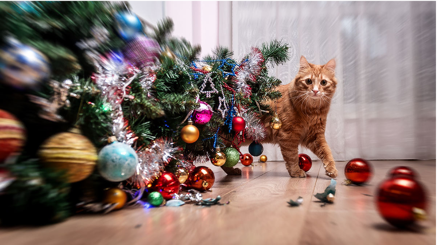 Así puedes evitar una guerra entre tu michi y los adornos navideños