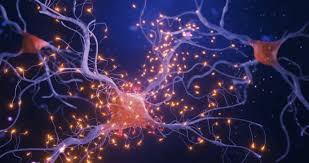 Una teoría unificadora podría revolucionar el tratamiento del Alzheimer
