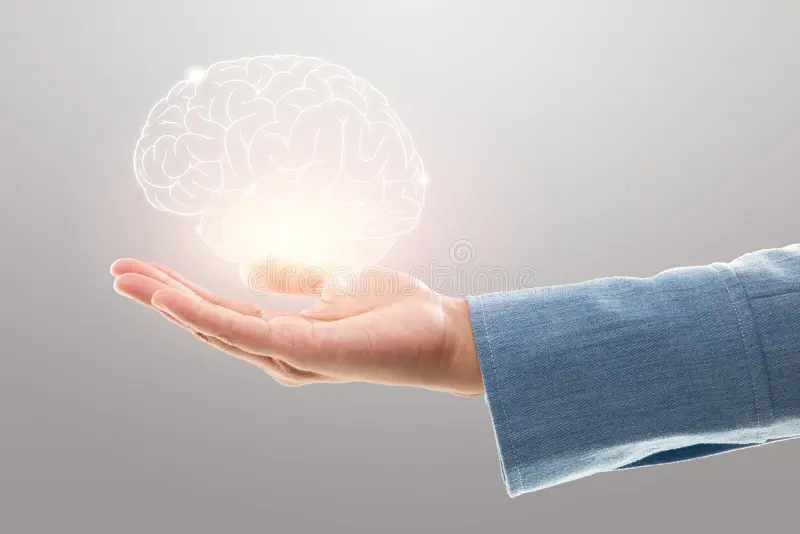 7 alimentos que mejoran la memoria y protegen el cerebro del envejecimiento