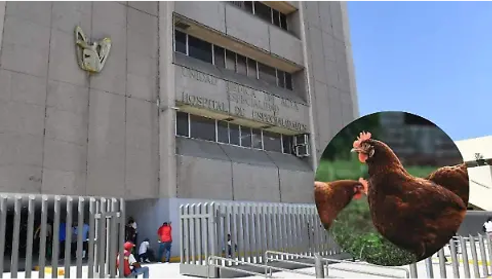 Fallece niña de 3 años en Coahuila por gripe aviar