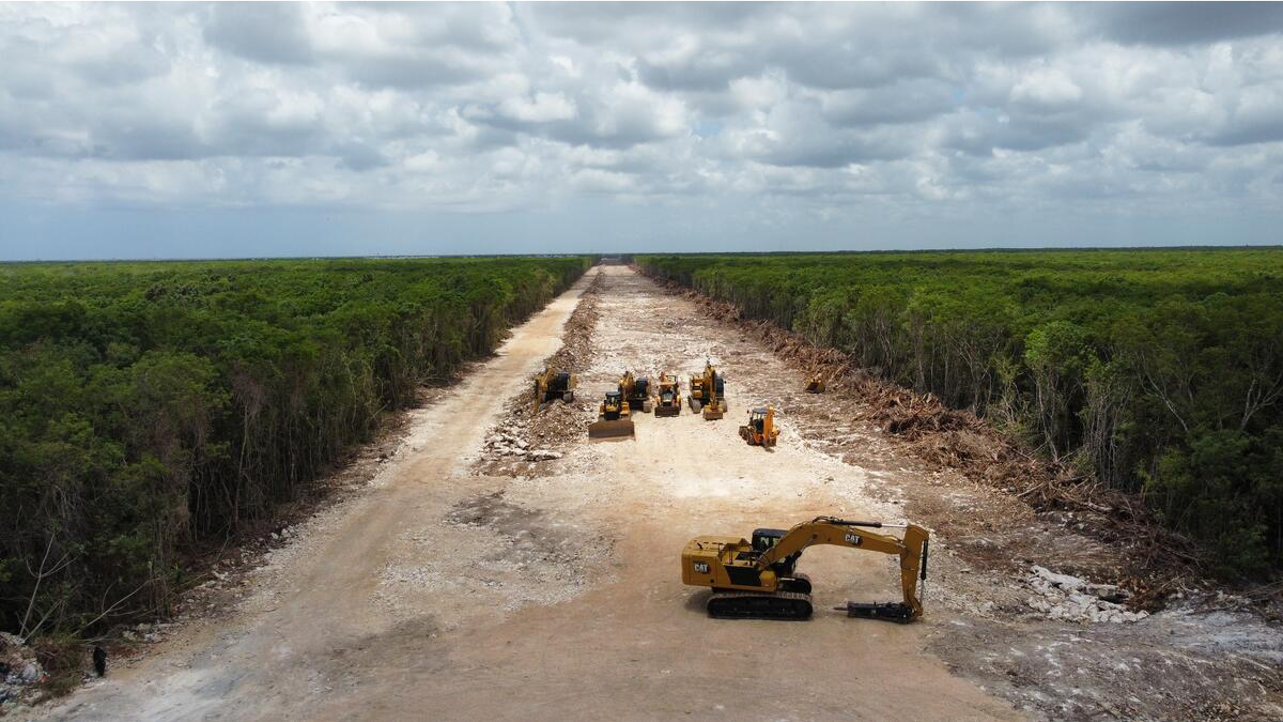 Semarnat aprueba destrucción de 261 hectáreas de selva para terminal del Tren Maya